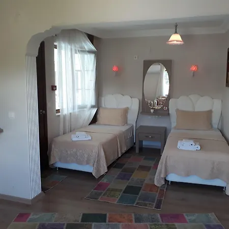 Alida 3* باموكاليه