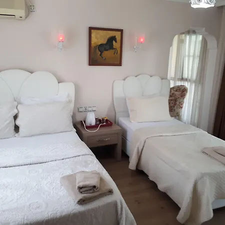 Hotel Alida