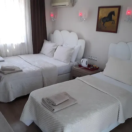 Alida باموكاليه