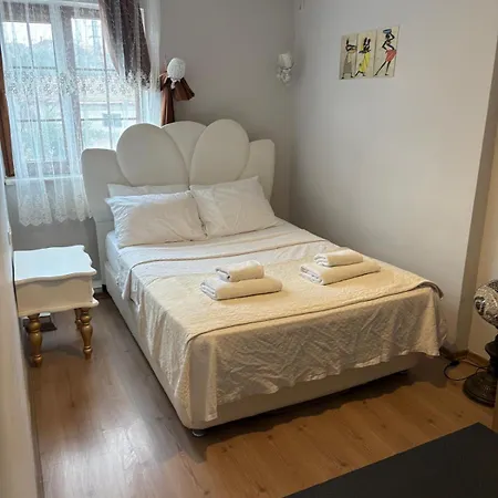 Alida 酒店 帕莫卡莱